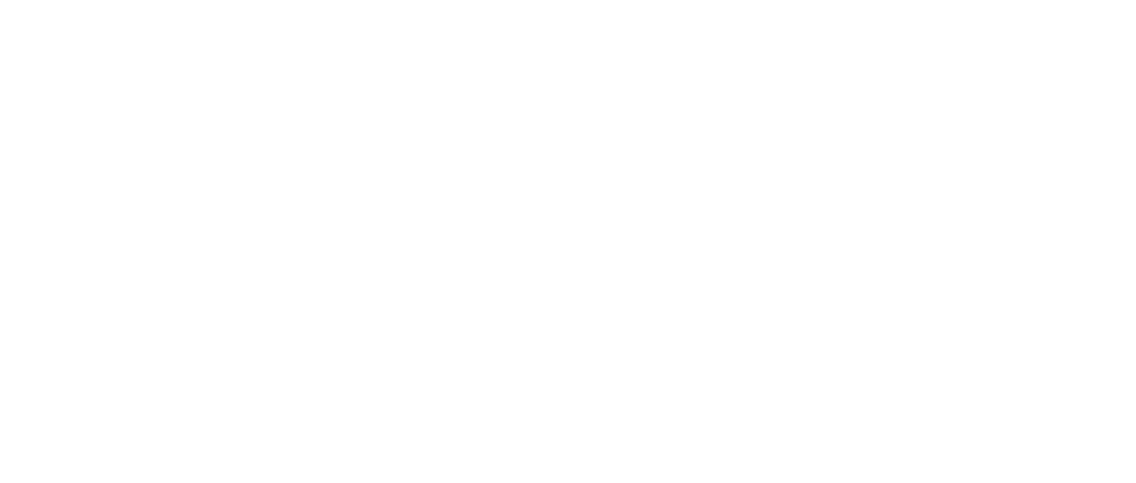 Orange Car Rental