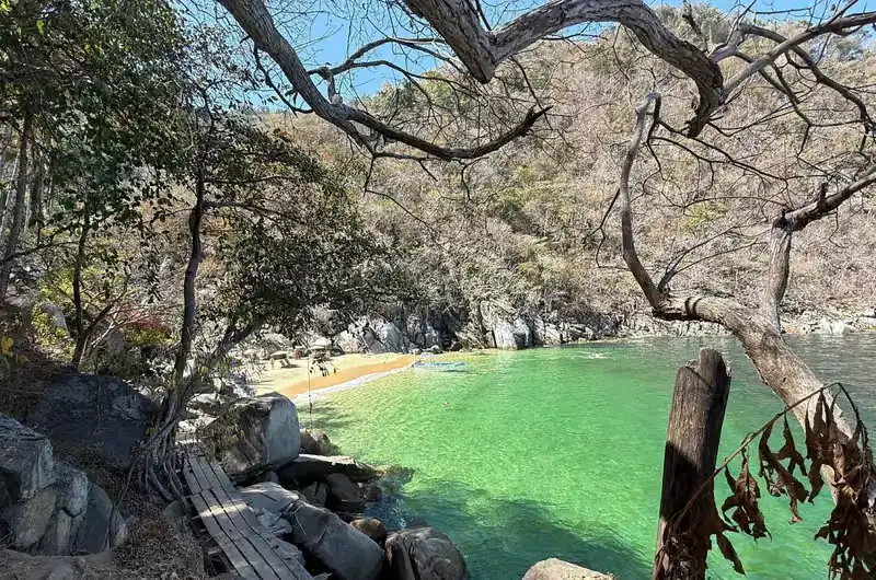 Turquoise waters and lush tropical vegetation at Colomitos Beach near Puerto Vallarta